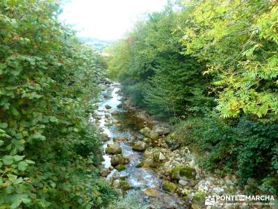 Hayedos Parque Natural de Redes;agencias de trekking singles madrid selva de irati